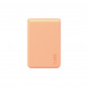 Funda para Móvil Panzer Glass 1446 Transparente Apple